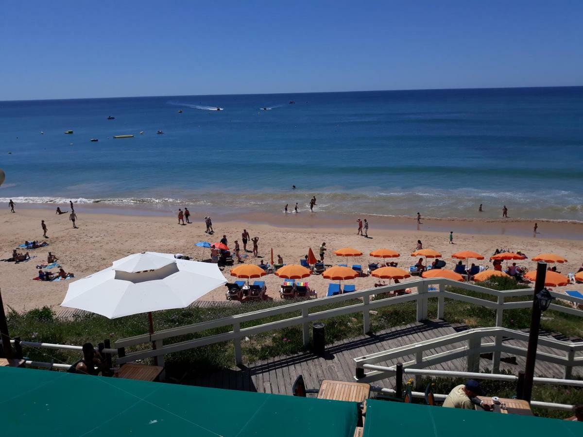 Venha Nadar A Oura