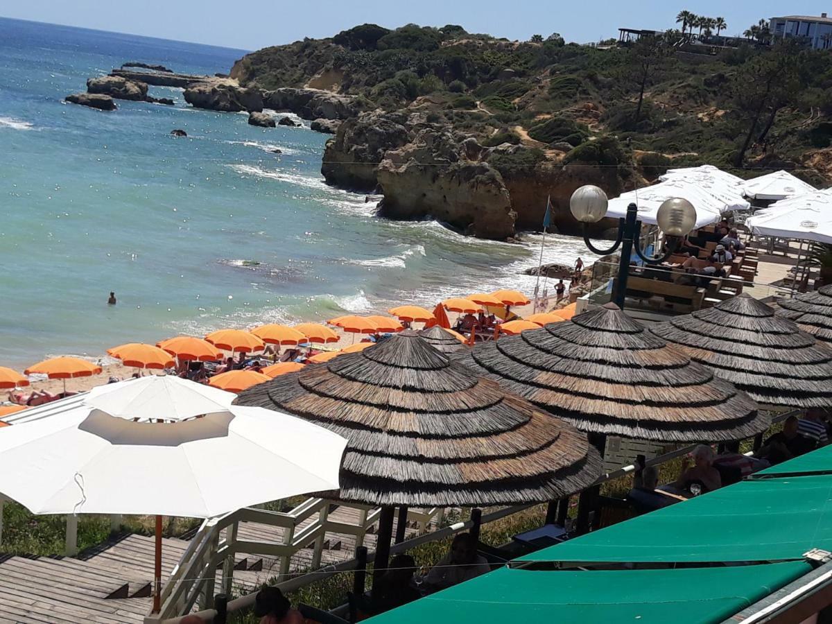 Venha Nadar A Oura Apartamento